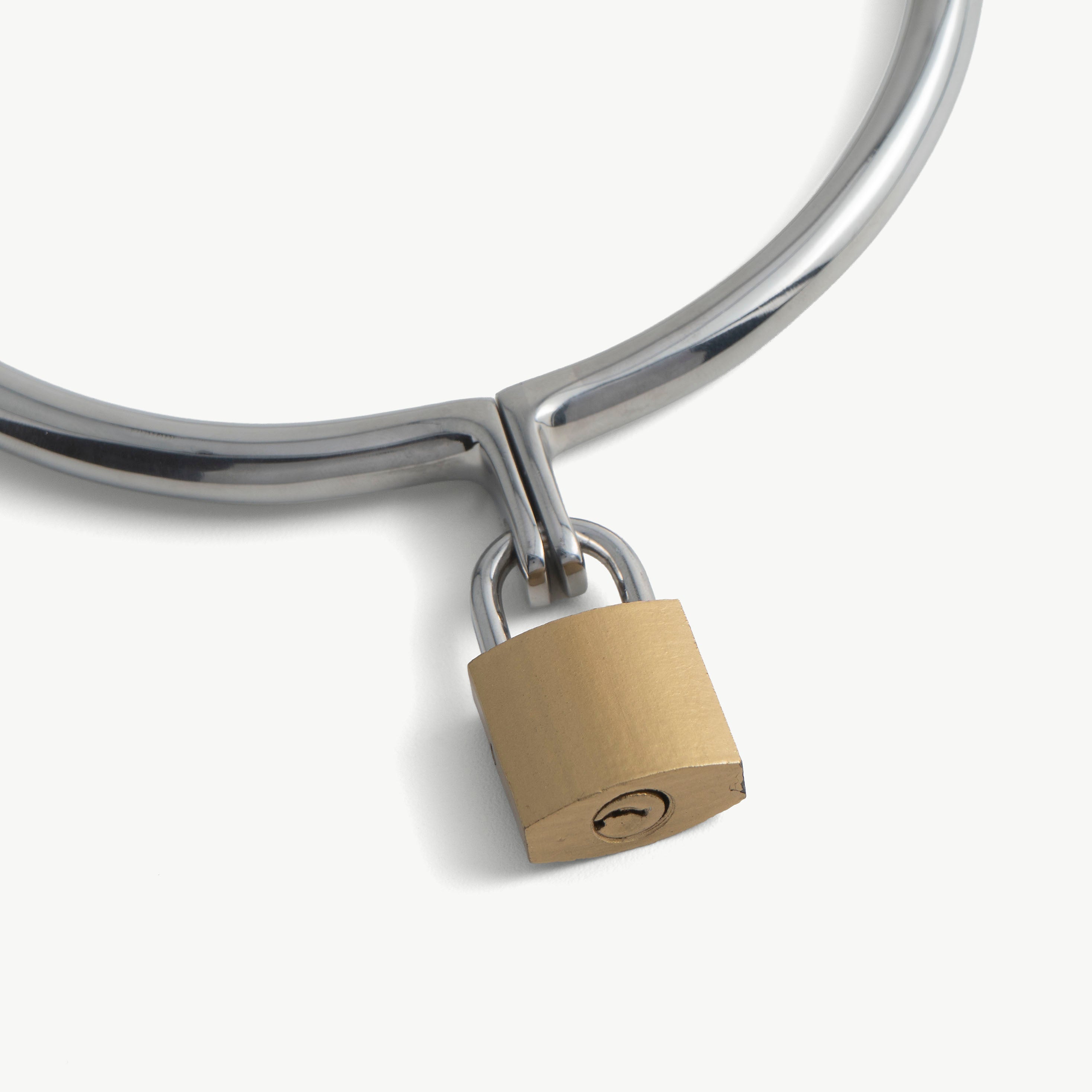 Close-up of the day collar's closure and padlock loop