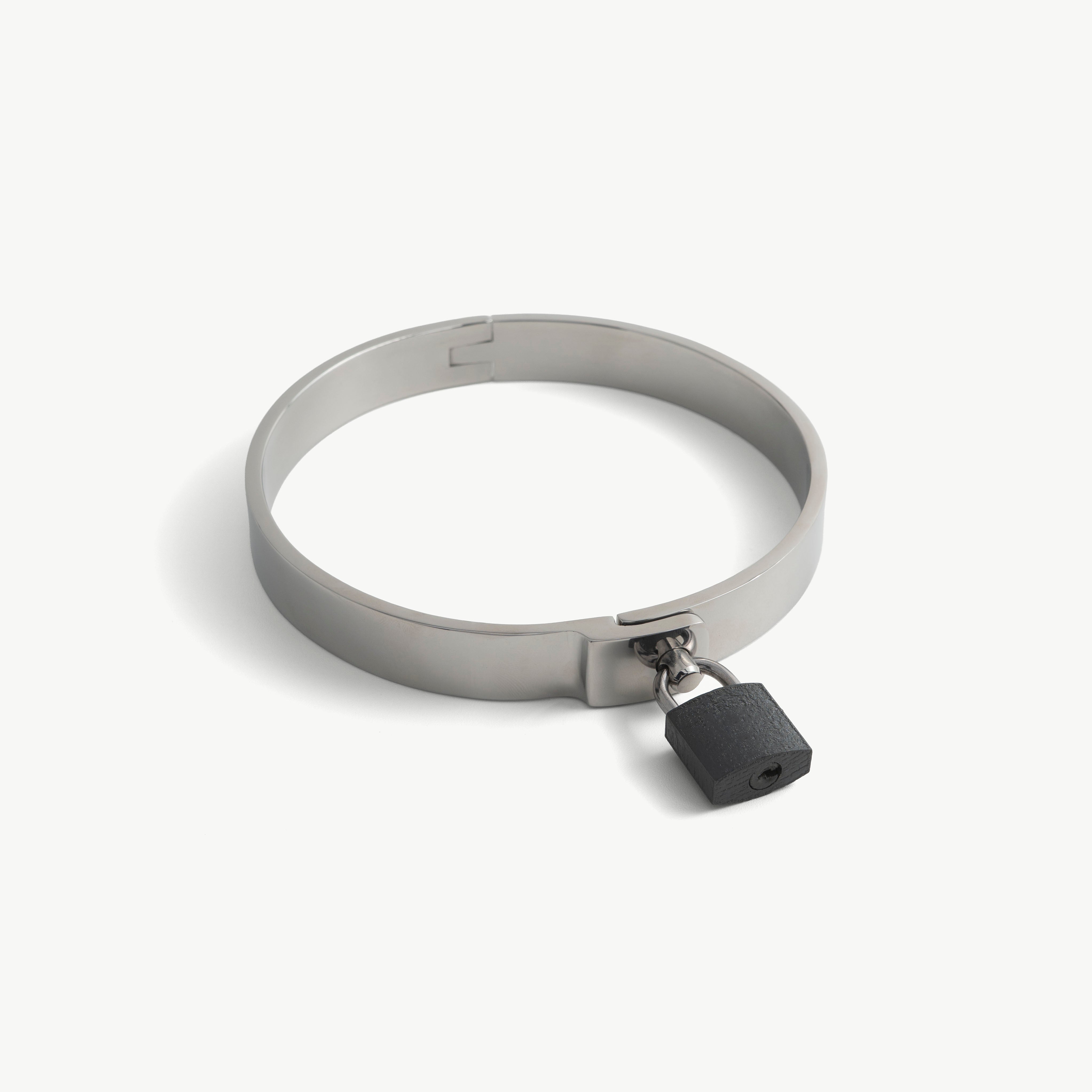 Flat Collar - stainless steel, with Pin and Padlock (various sizes)
