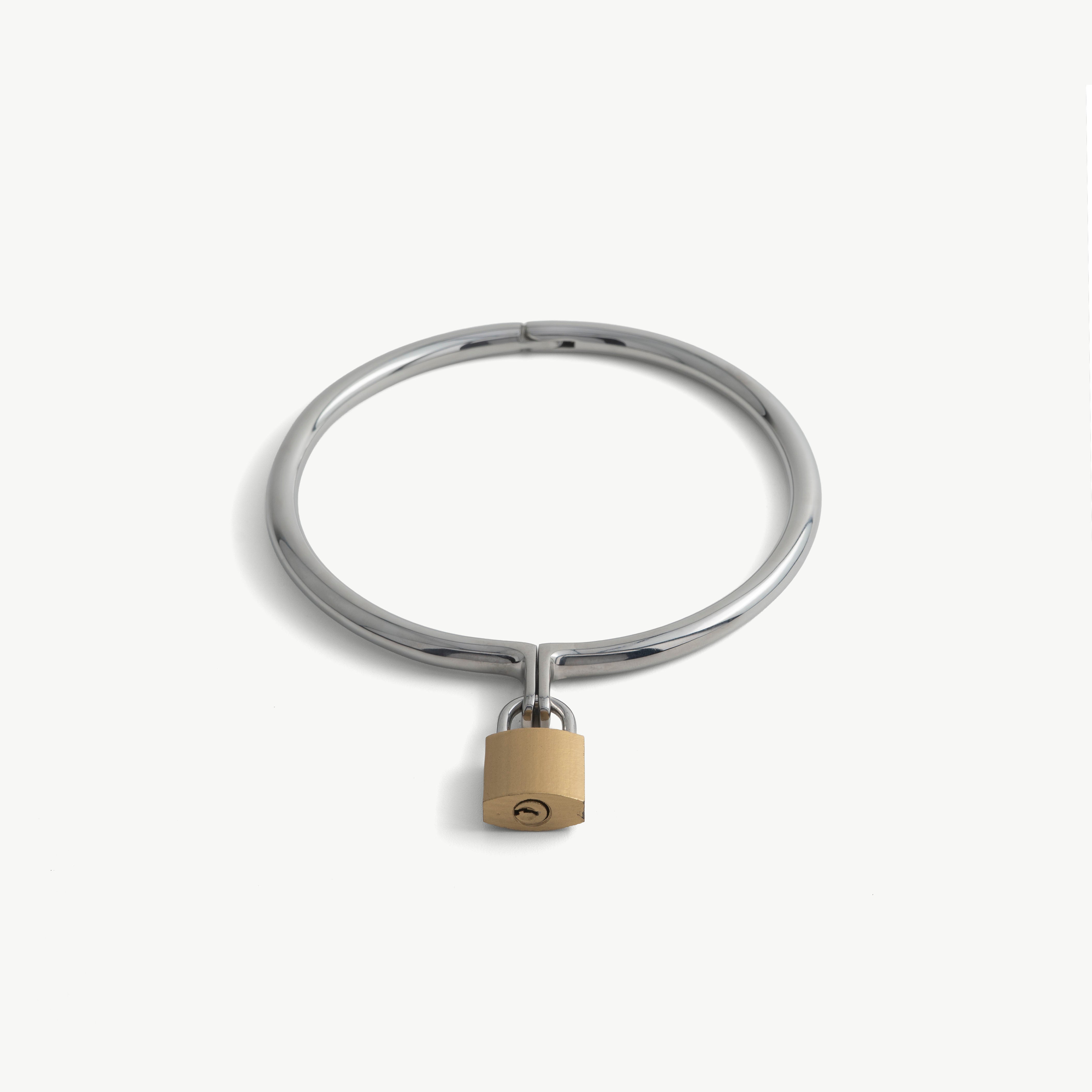 Steel round day collar with brass padlock, angled view