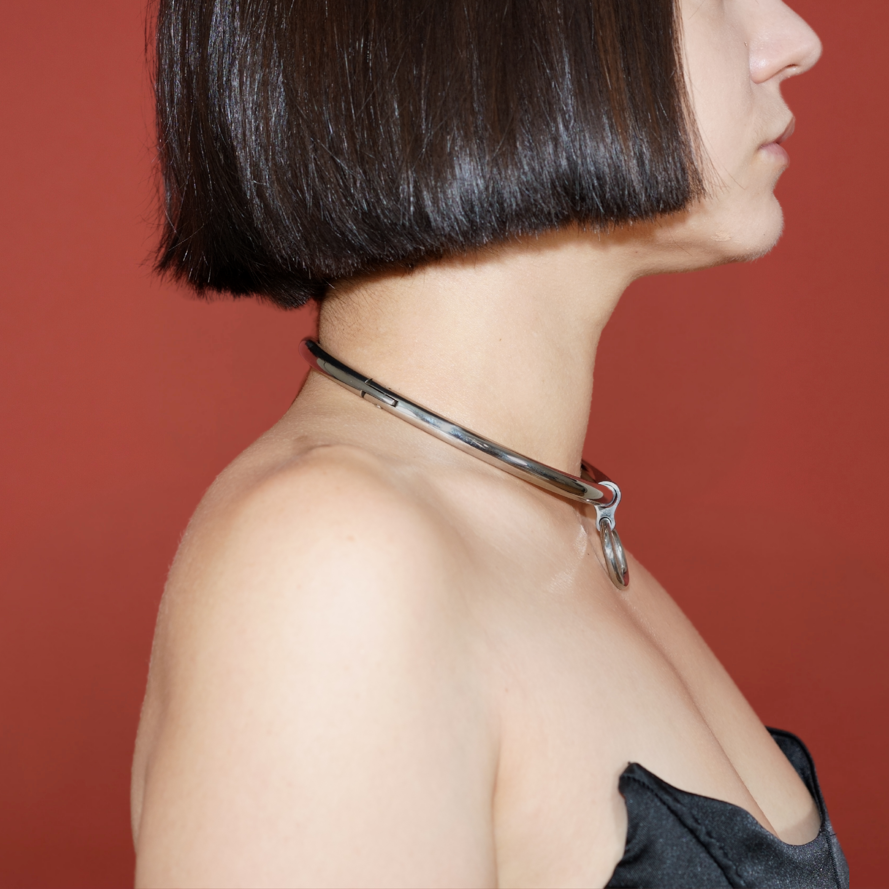 deSade® Oval Day Collar - hidden hex lock, O-ring (8mm thick, silver)