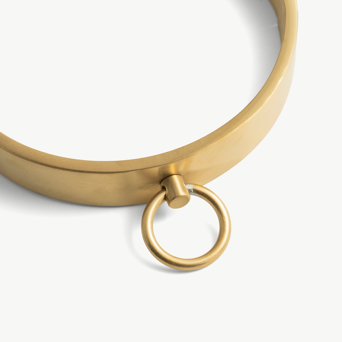 Close-up of the front O-ring on the brushed gold flat collar