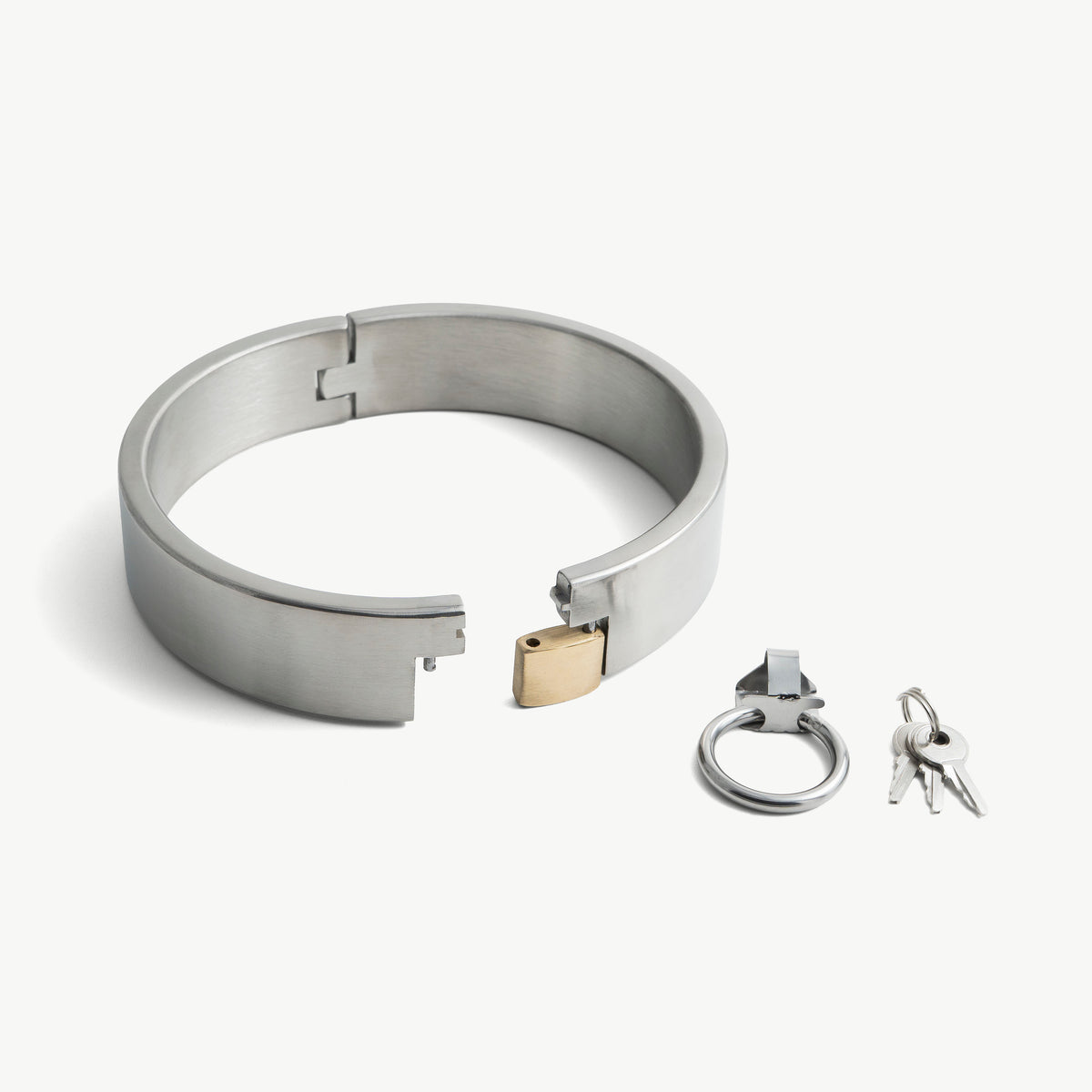 Brushed steel padlock collar shown open beside its brass padlock, O-ring and keys