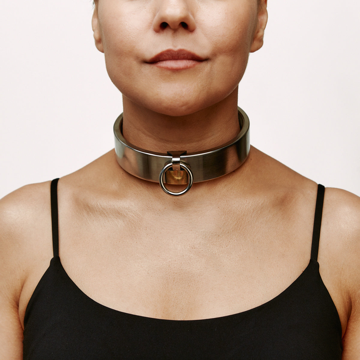 Padlock collar - stainless steel, brushed