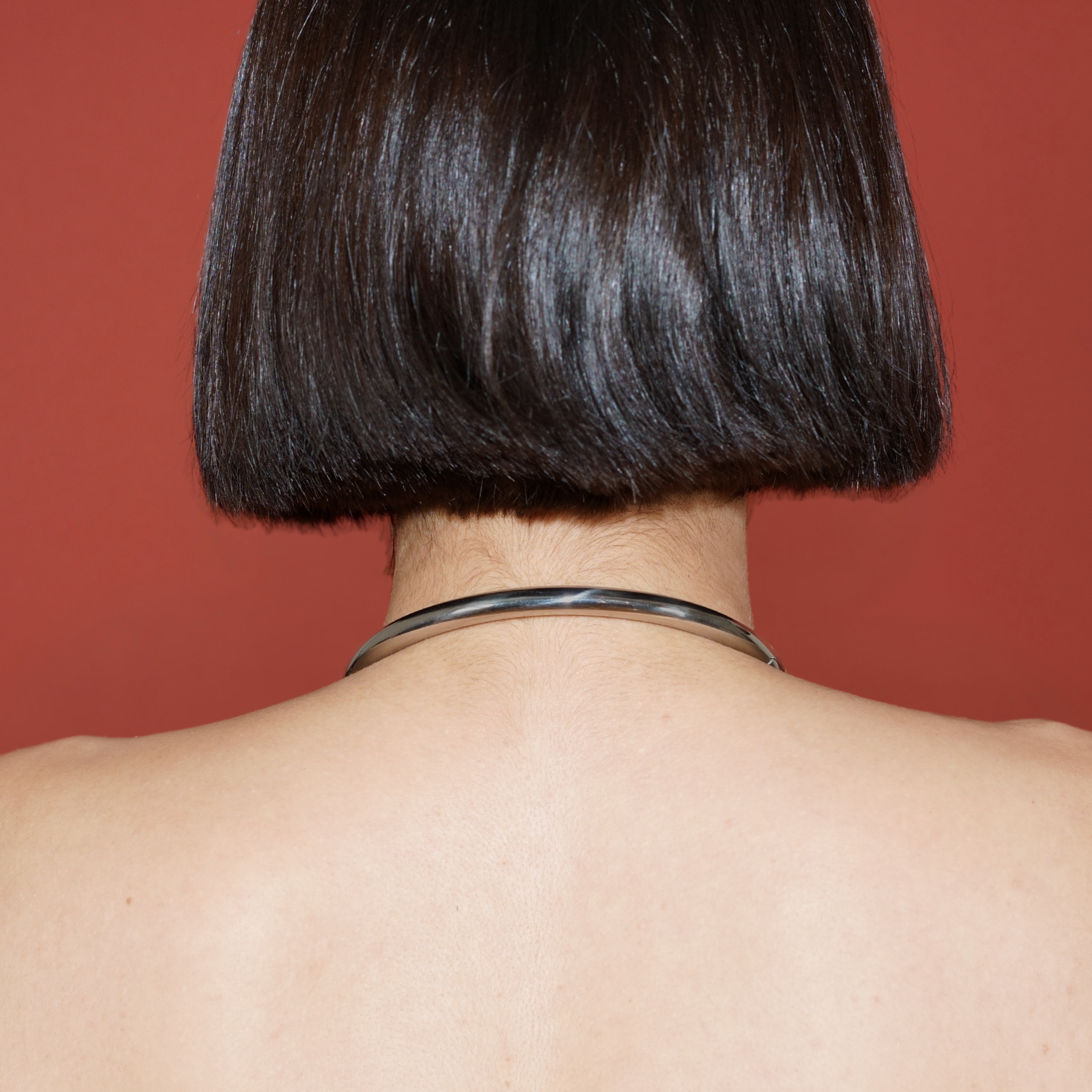 deSade® Oval Day Collar - hidden hex lock, O-ring (8mm thick, silver)