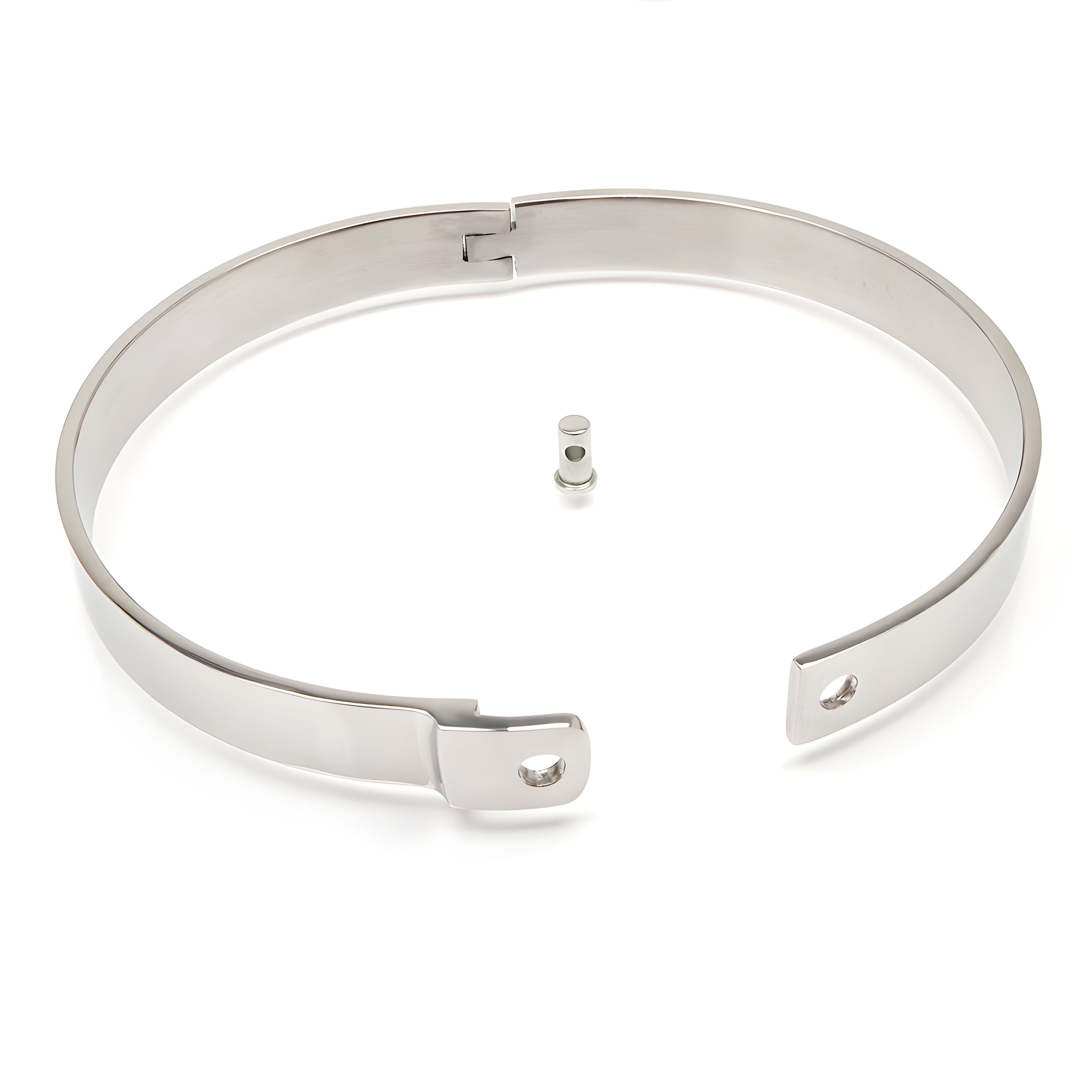 Flat Collar - stainless steel, with Pin and Padlock (various sizes)
