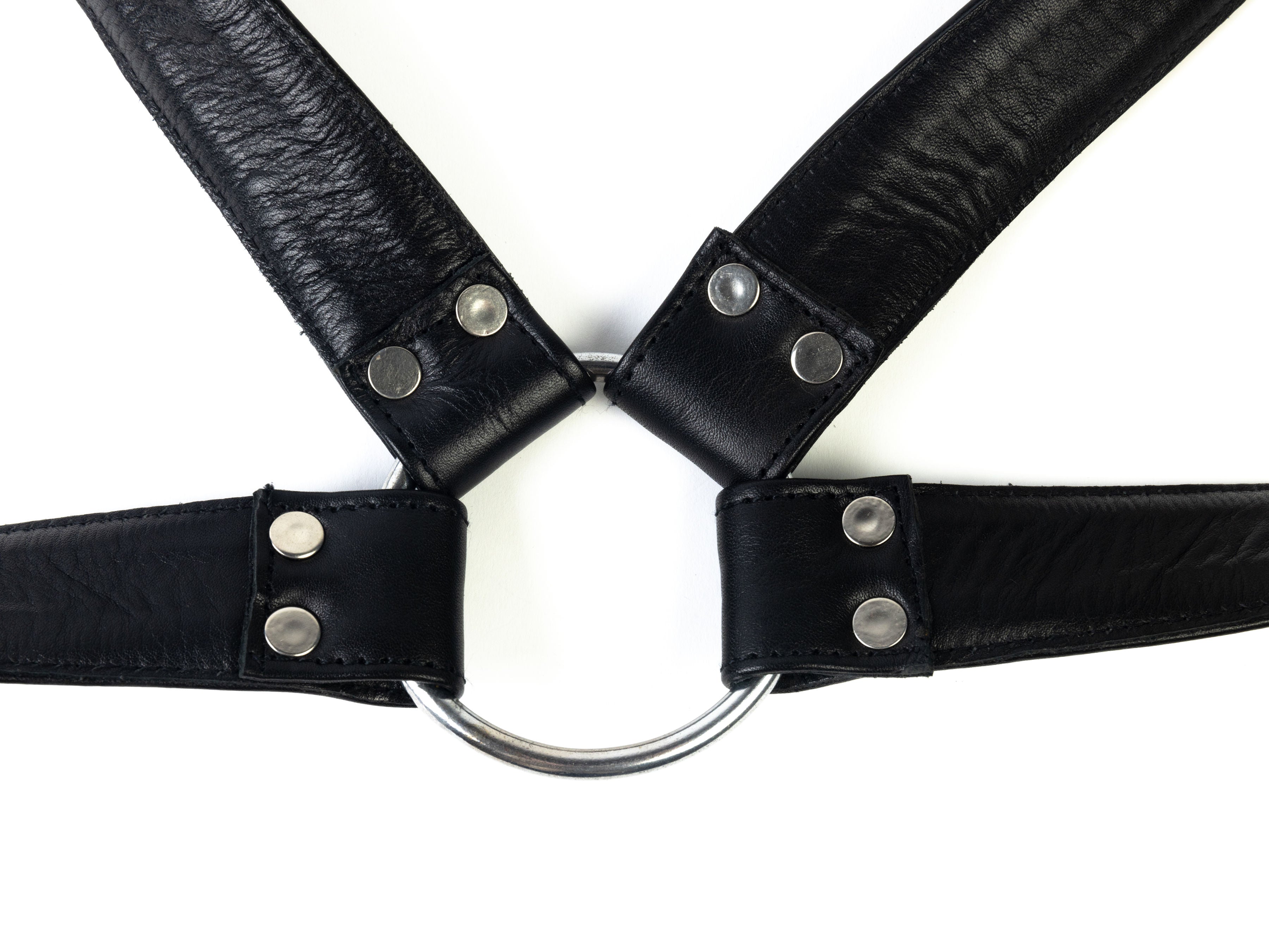 Harness - genuine leather, with attachment point