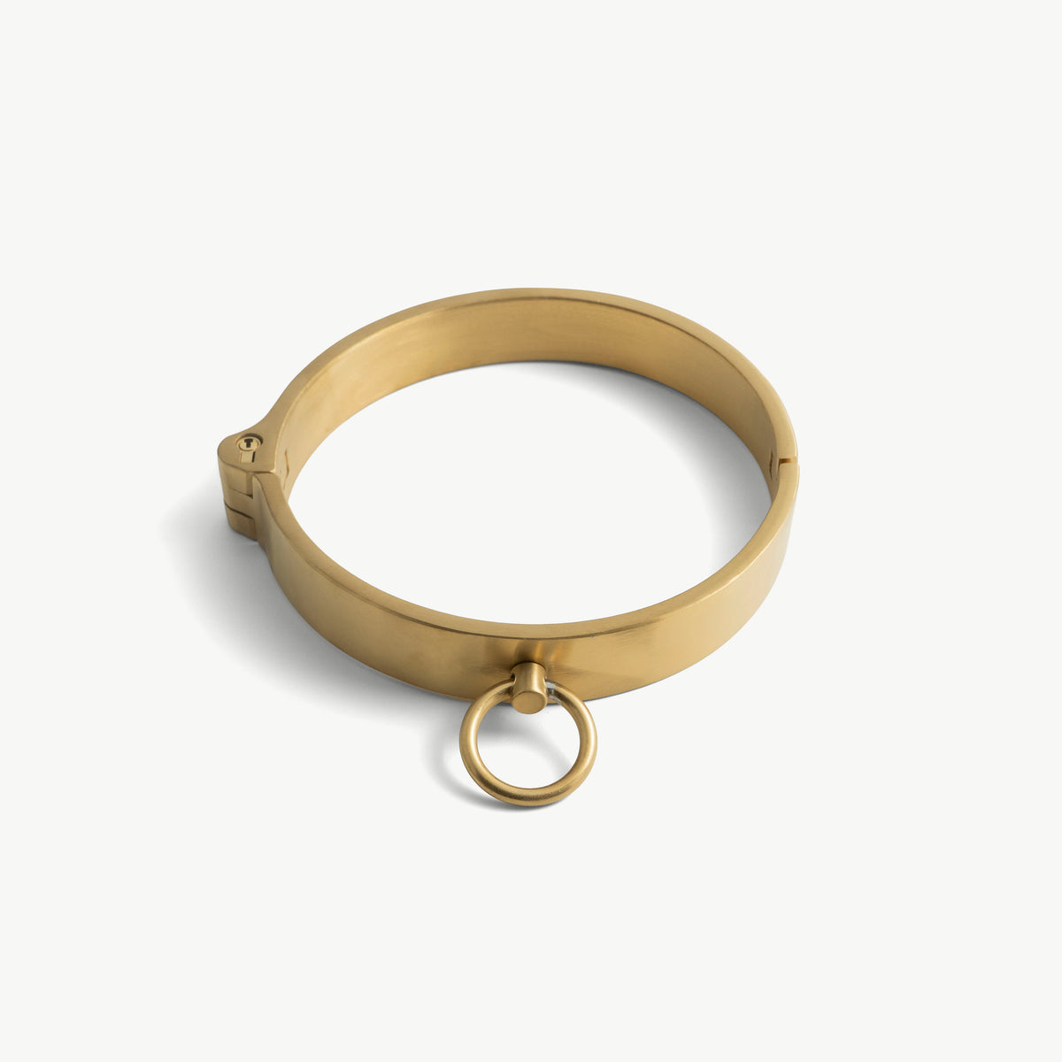Gold flat stainless steel collar with hinge and hanging front O-ring, front view