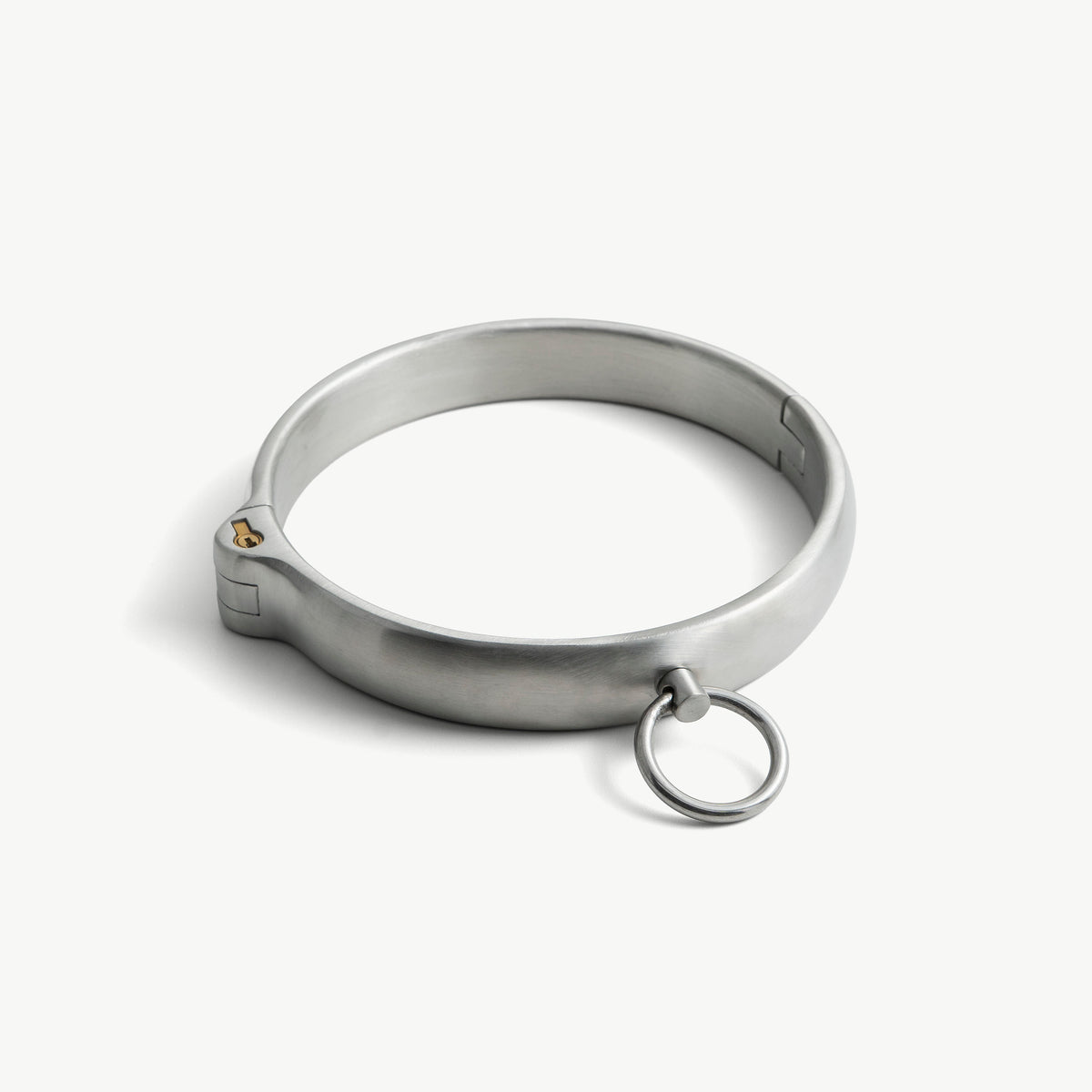 Rounded brushed stainless steel collar with push-in lock and front O-ring, angled view