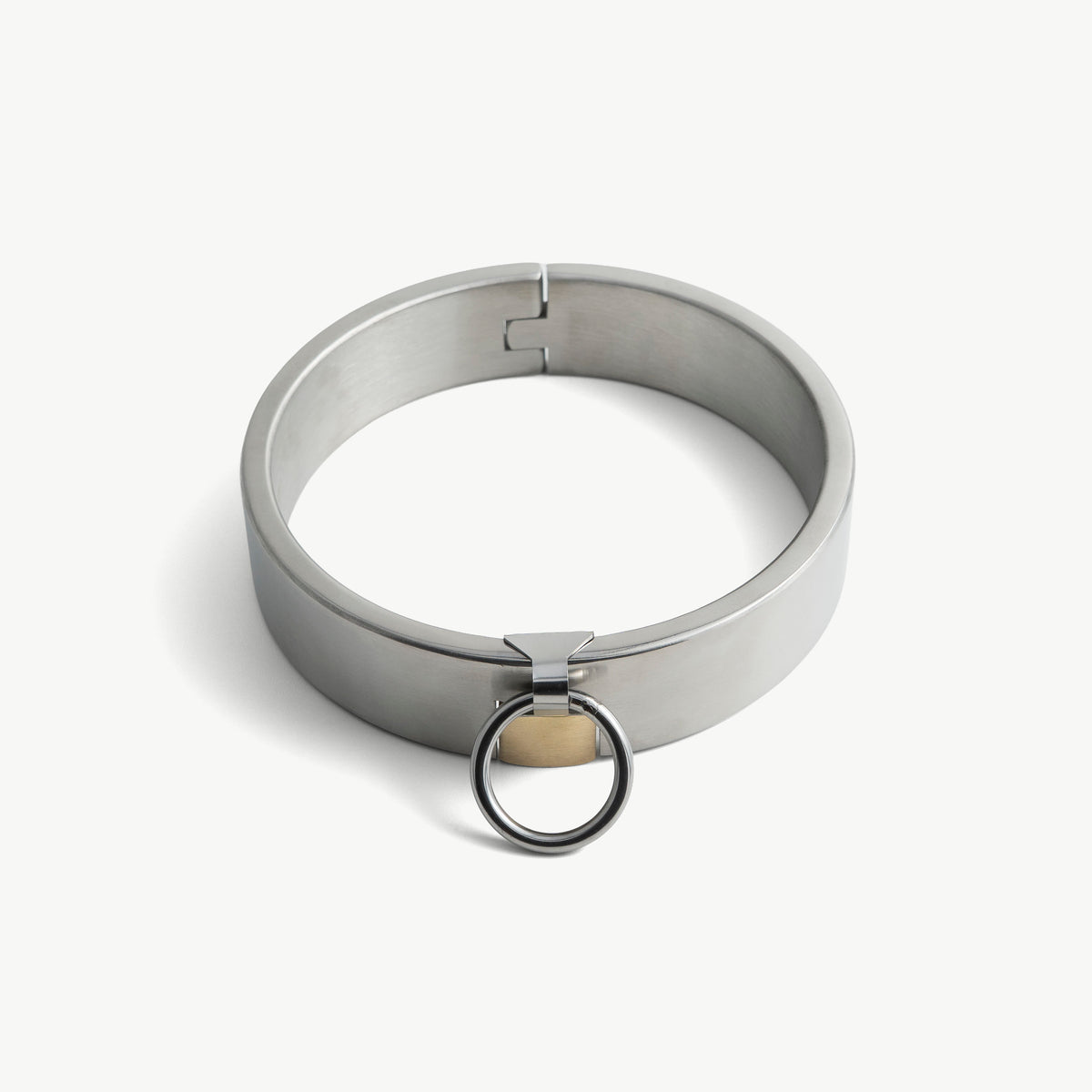 Brushed stainless steel padlock collar with brass padlock and O-ring, front view