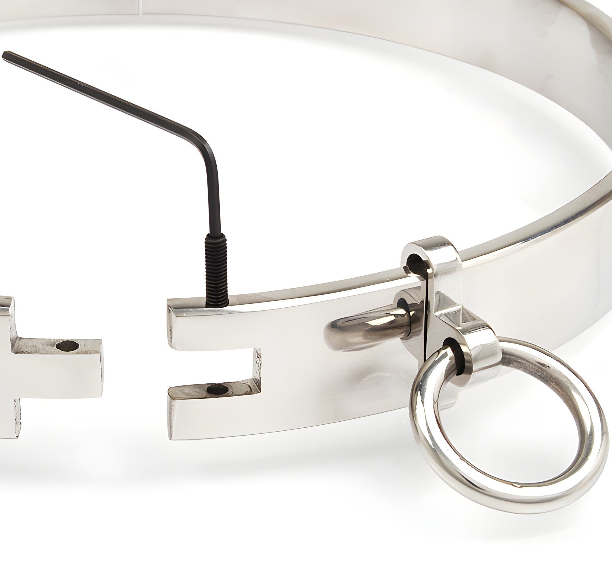 Großes Edelstahl-Halseisen mit abnehmbarem Ring für Bondage/BDSM