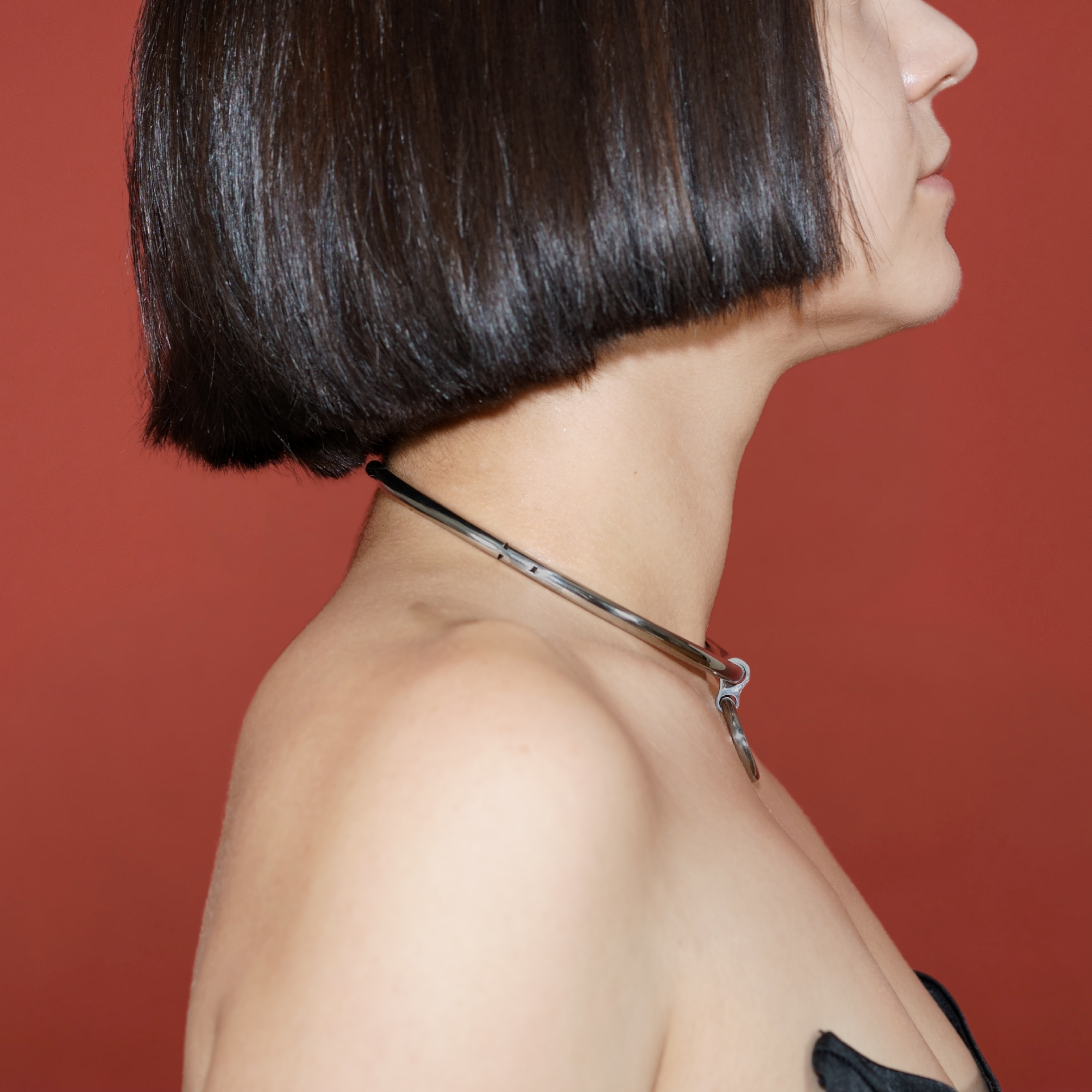 deSade® Round Day Collar - hidden hex lock, O-ring (6mm thick, silver)